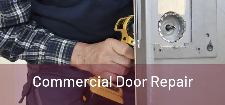 Commercial Door Repair